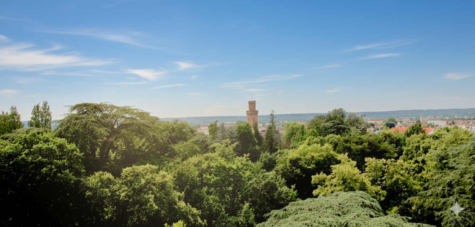 Image_, Appartement, Tarbes, ref :VAP10001389