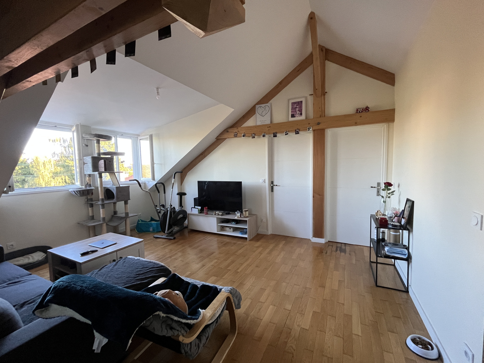 Image_, Appartement, Tarbes, ref :LAP10001380