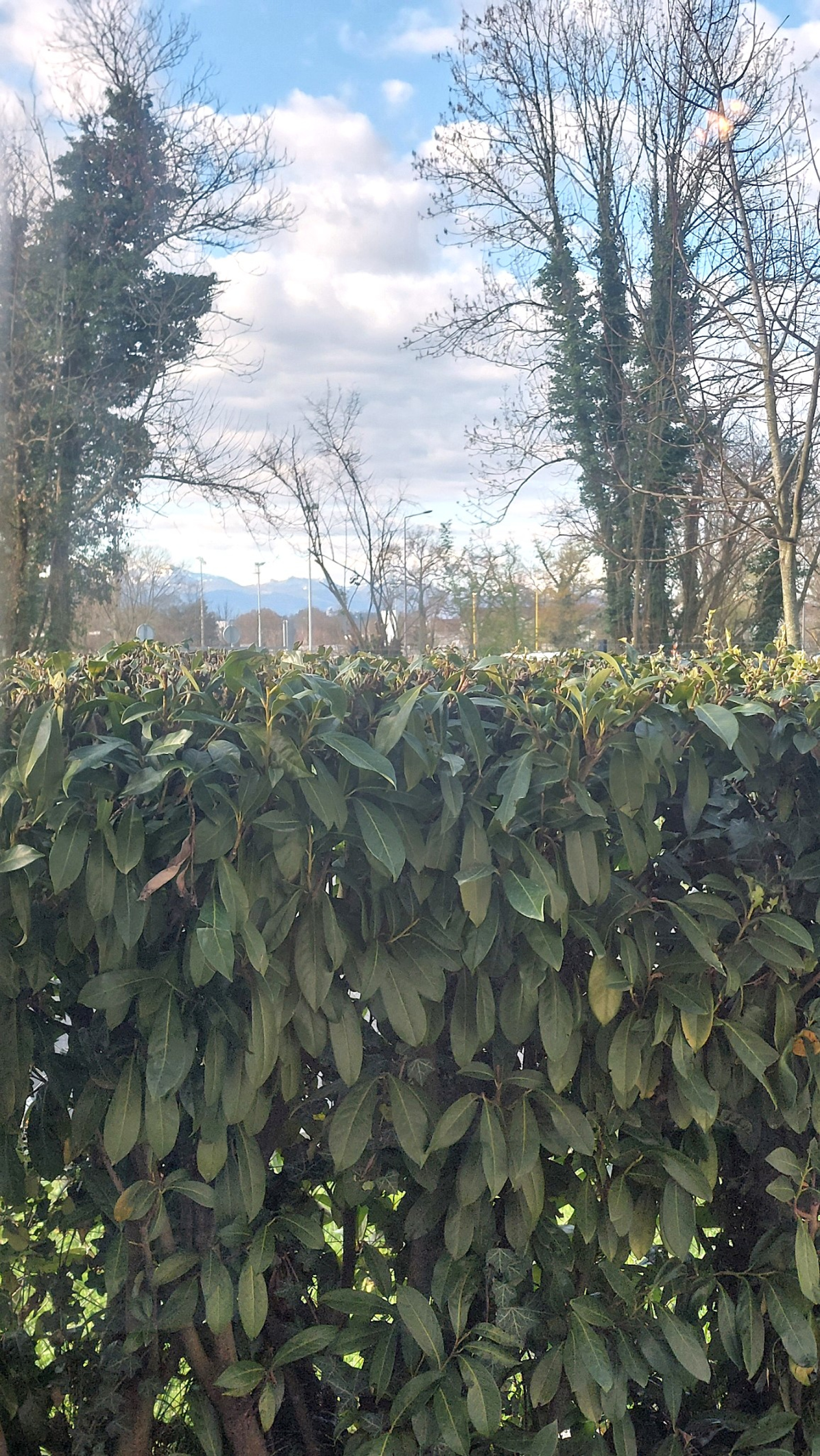 Image_, Appartement, Pau, ref :VAP100001337