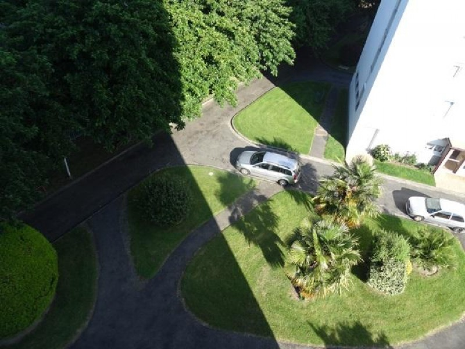 Image_, Appartement, Tarbes, ref :01029