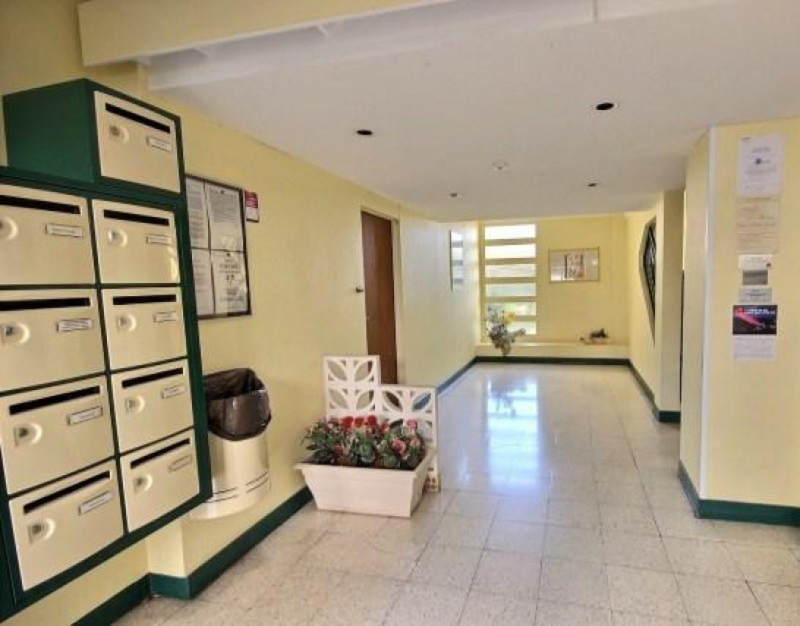 Image_, Appartement, Tarbes, ref :01043
